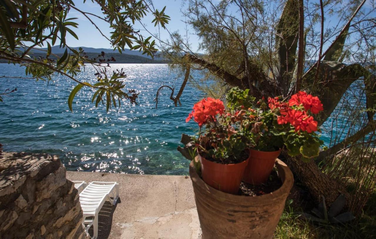 Apartmani Nikoletic Klek Exteriör bild